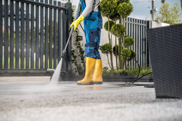 Best Dumpster Area Cleaning  in North Lewisburg, OH